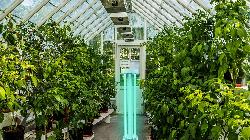 Lampara UV C para plantas, germicida para inverdaderos Ionizador para piscinas